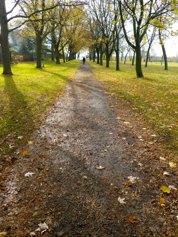 Path through the Park