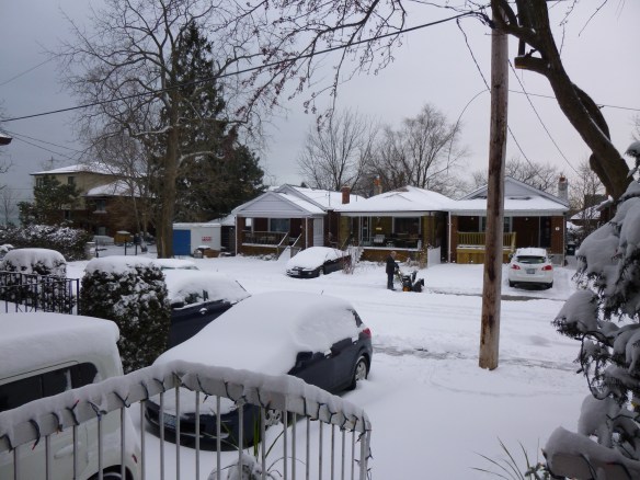 View from the front door, early this morning.