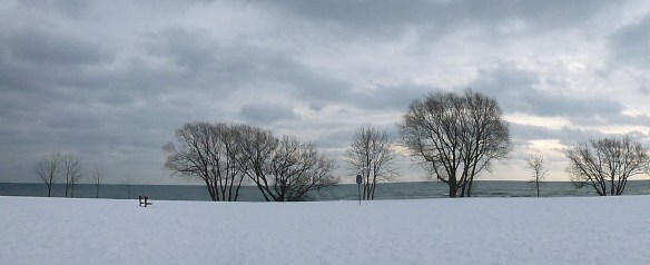 This is the view at the bottom of my street, looking south towards Lake Ontario.
