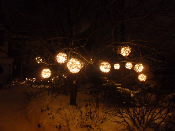 I love these lights. If I ever see the owners I'll have to ask them where they got them.