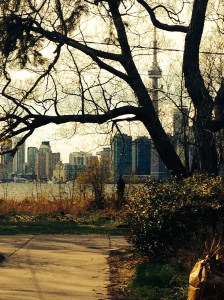 View of the city from Centre Island.