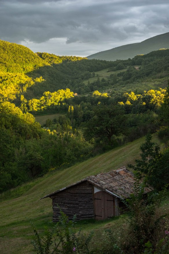 20160713-_dsc0437jpg_28520340675_o