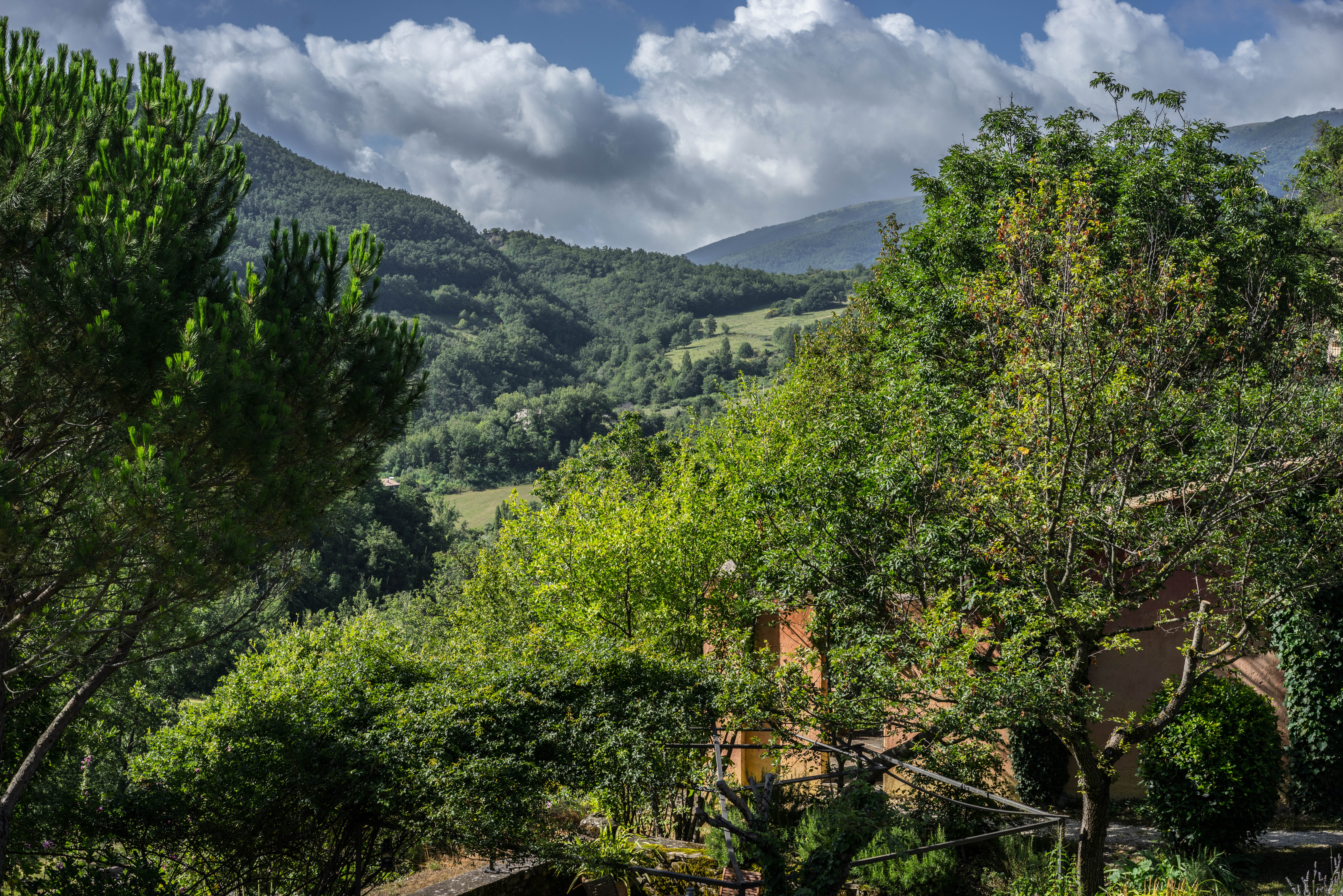 site-of-the-wedding_28236456190_o