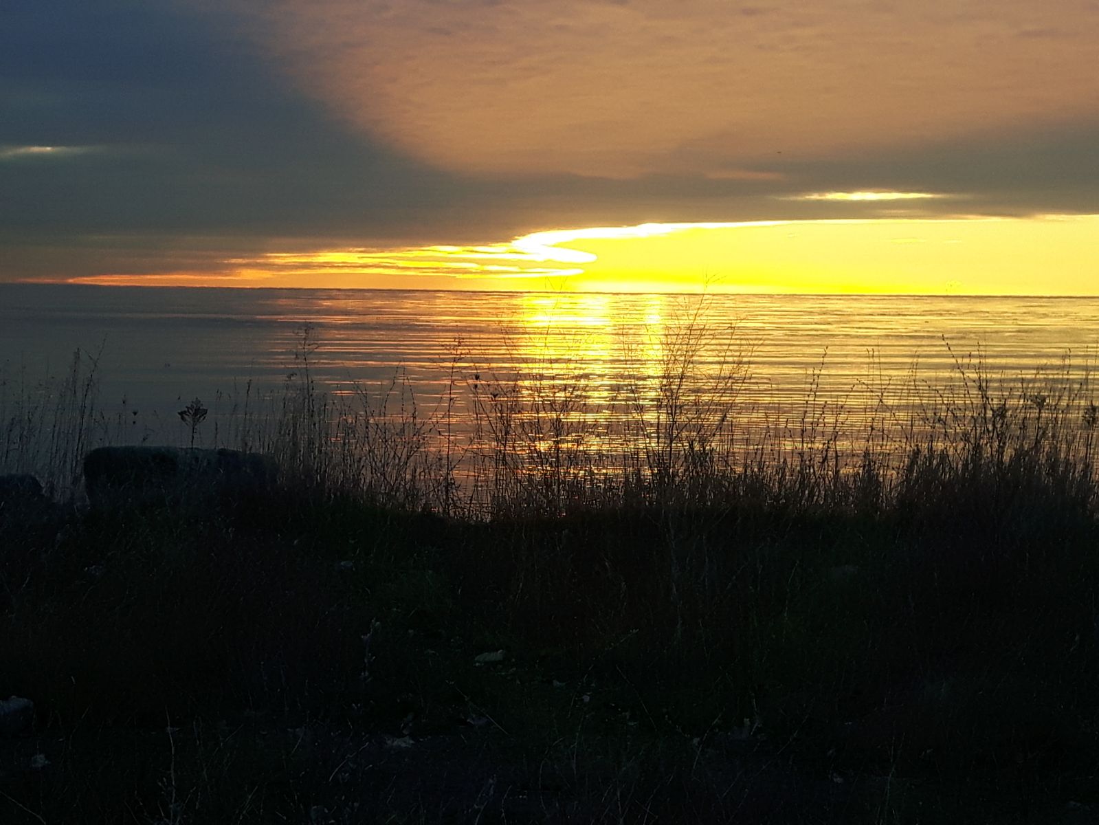 11c046d5-d2dc-4f01-b918-0898f7f25cd5