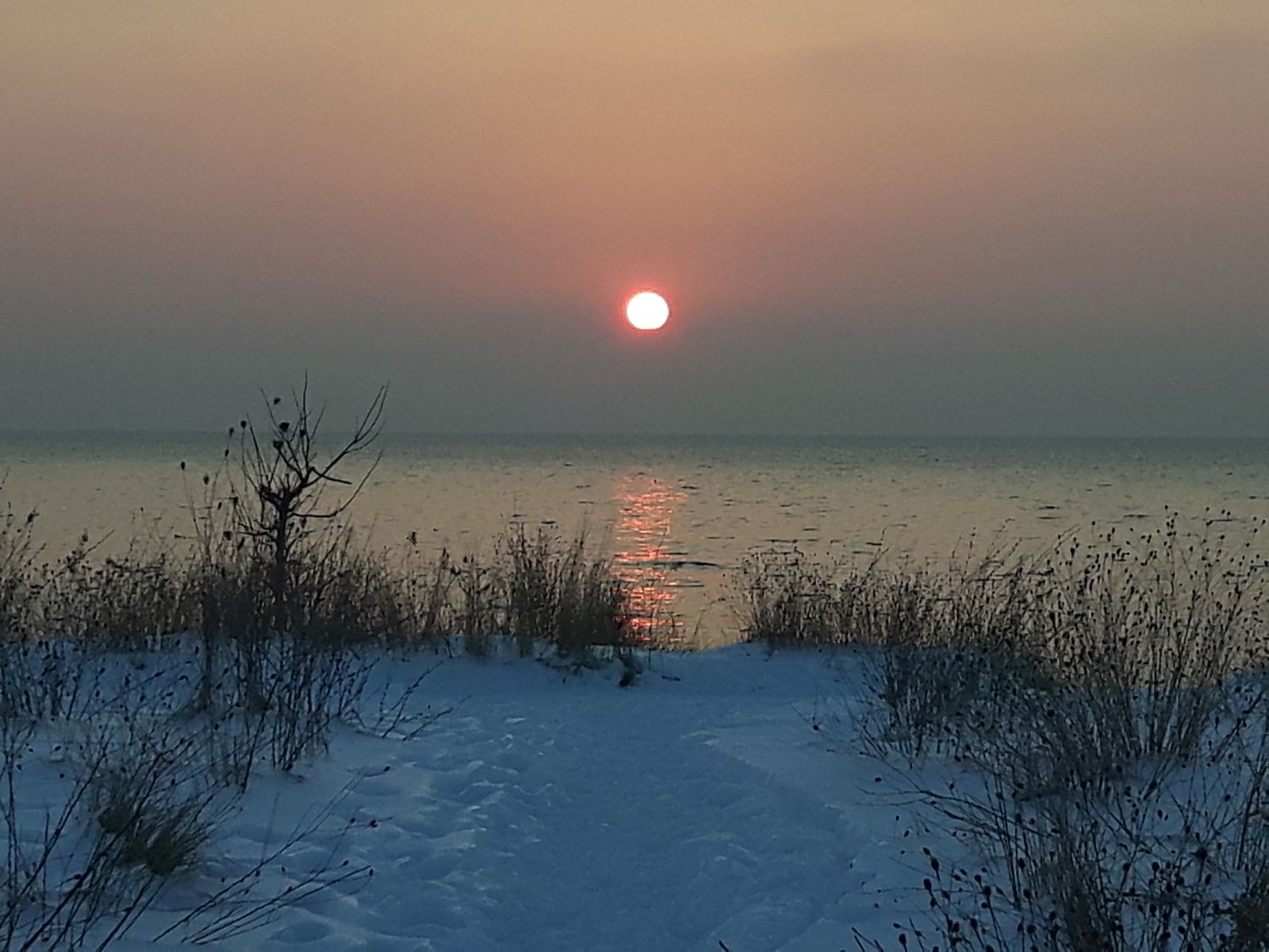 2c9756a2-66c0-4981-bb35-86ba40e1e3f3