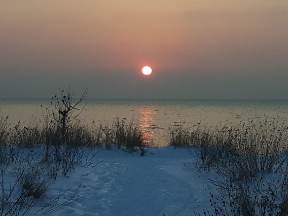 2c9756a2-66c0-4981-bb35-86ba40e1e3f3