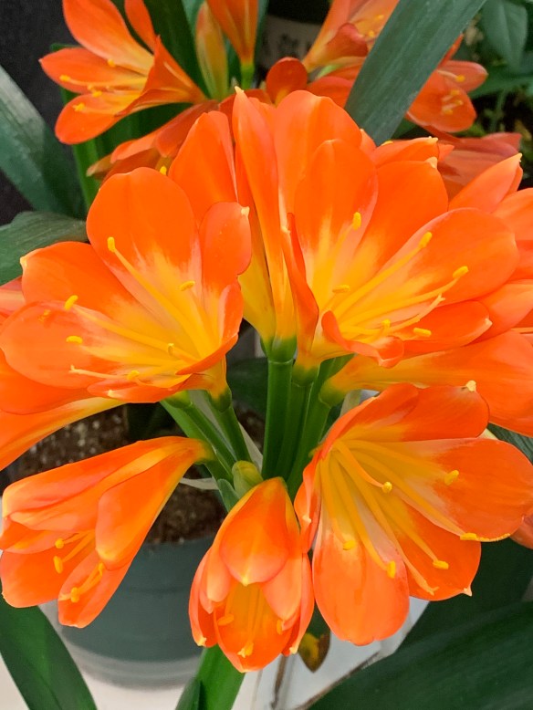 02485C68-5477-45BB-A77B-29EAE2663B9E