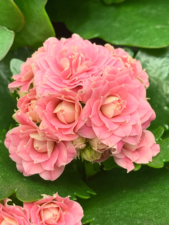 08366ECE-541B-420A-B9CB-94AC6343120A