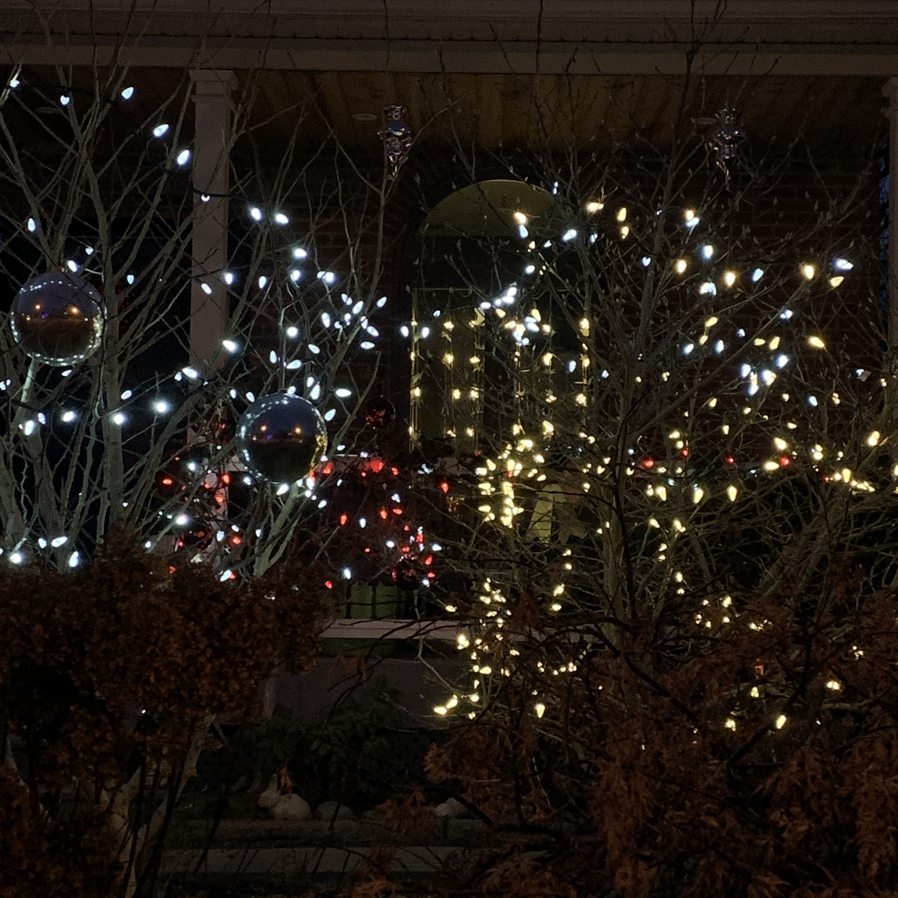 09D98CE0-D19C-4F09-A26E-3314A46C4103