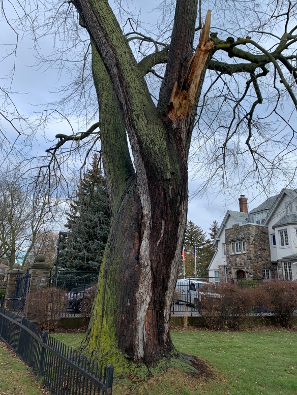 0B48A456-4883-466E-A50C-DB22782E5359