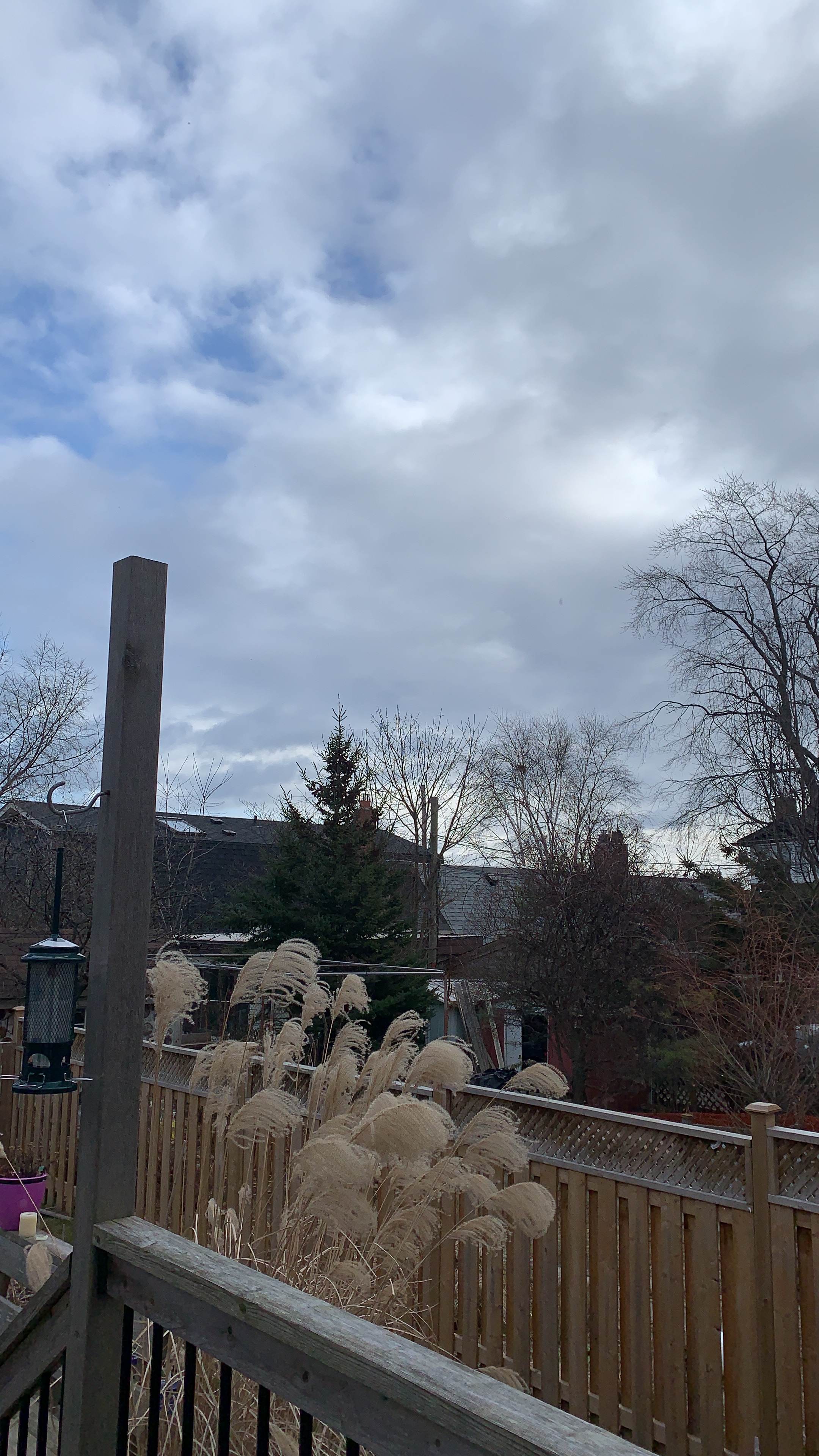 14D50E60-19E4-4D21-96FC-7F80892C256A