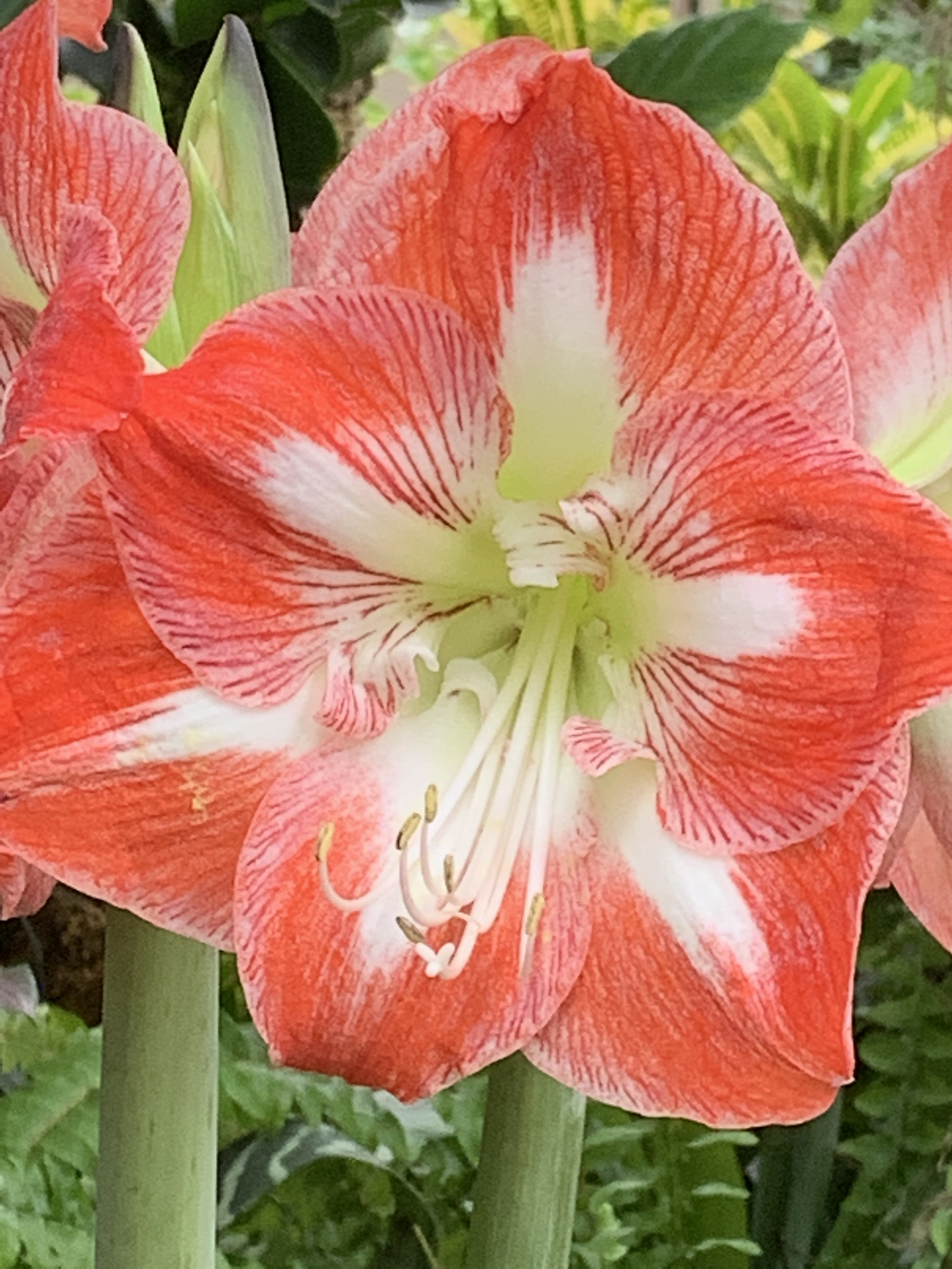 15AFDA43-3D06-474C-A34B-B211E292EC71