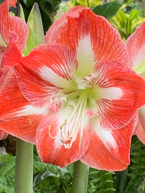 15AFDA43-3D06-474C-A34B-B211E292EC71