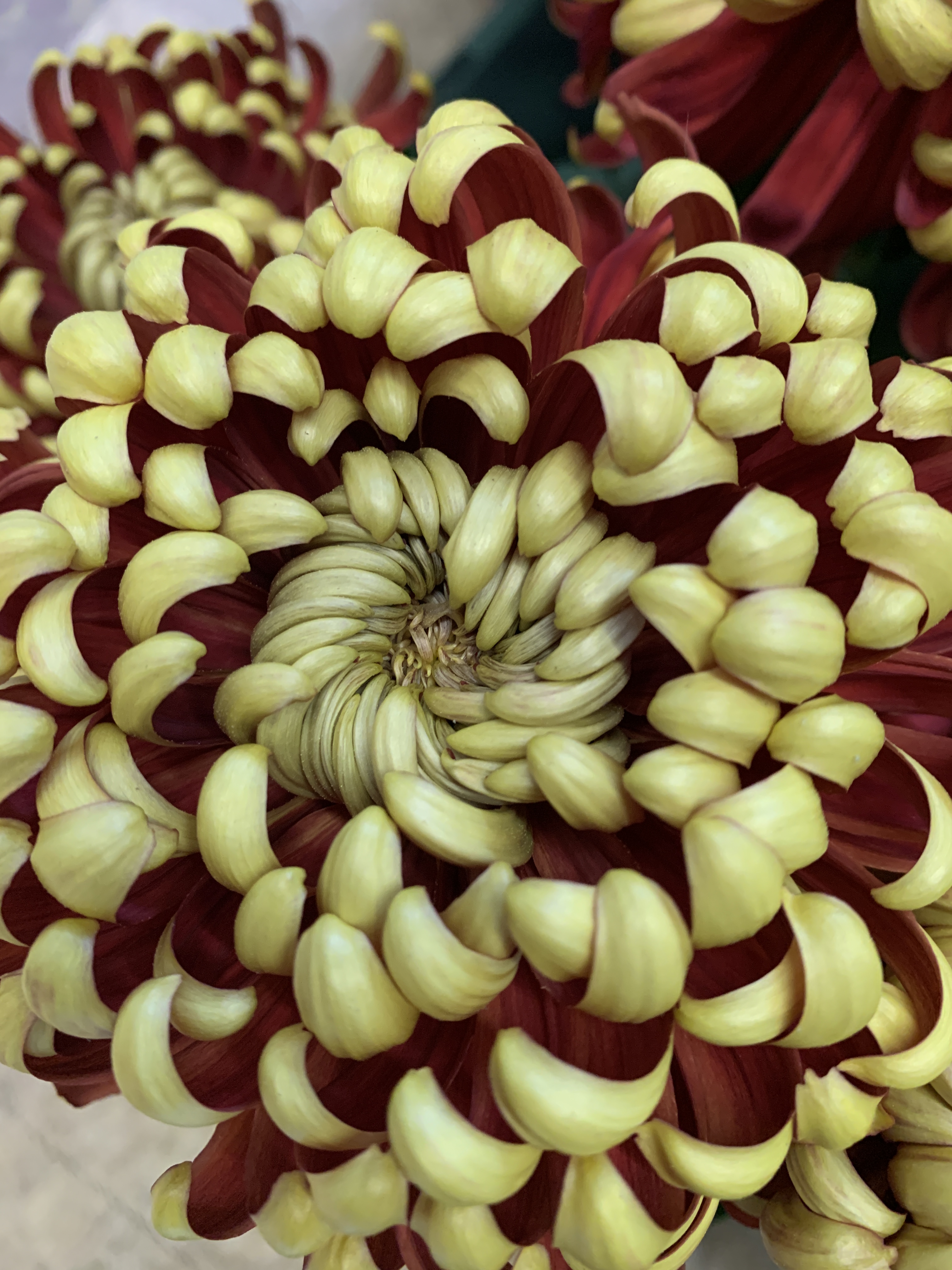 180ACE42-71F1-43CA-9B36-D8F13C37B566