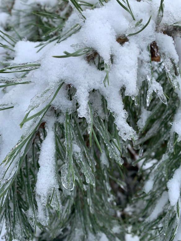 1D3F4055-A406-42D1-B114-85B7316B704B_1_201_a