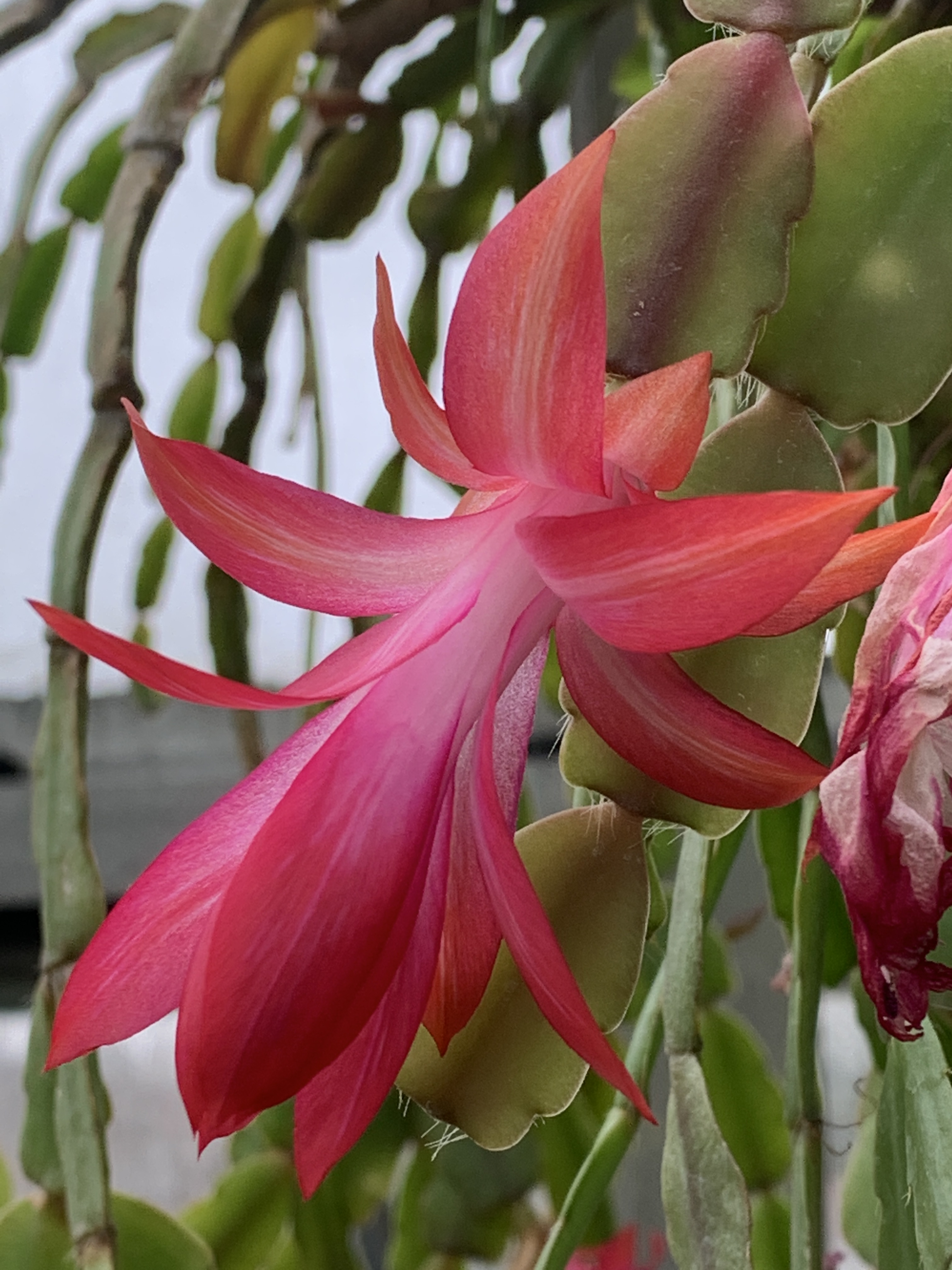 25157328-4438-4C83-B3F0-B6A4E79CD1DA