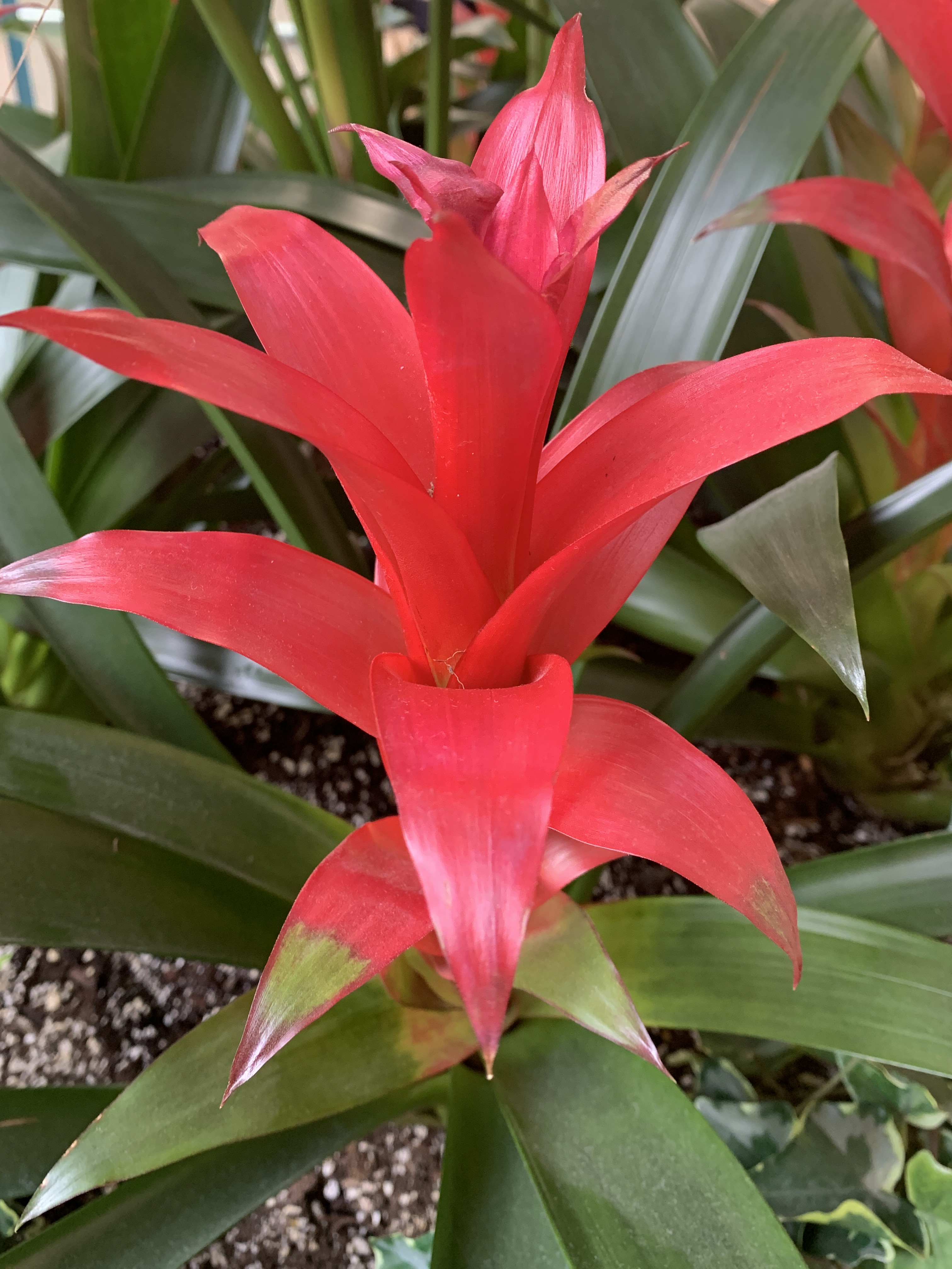 25FF5508-E9A0-4380-98F8-9CF5E503912A