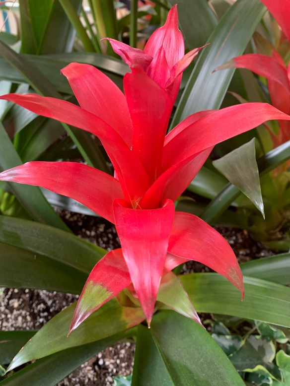 25FF5508-E9A0-4380-98F8-9CF5E503912A