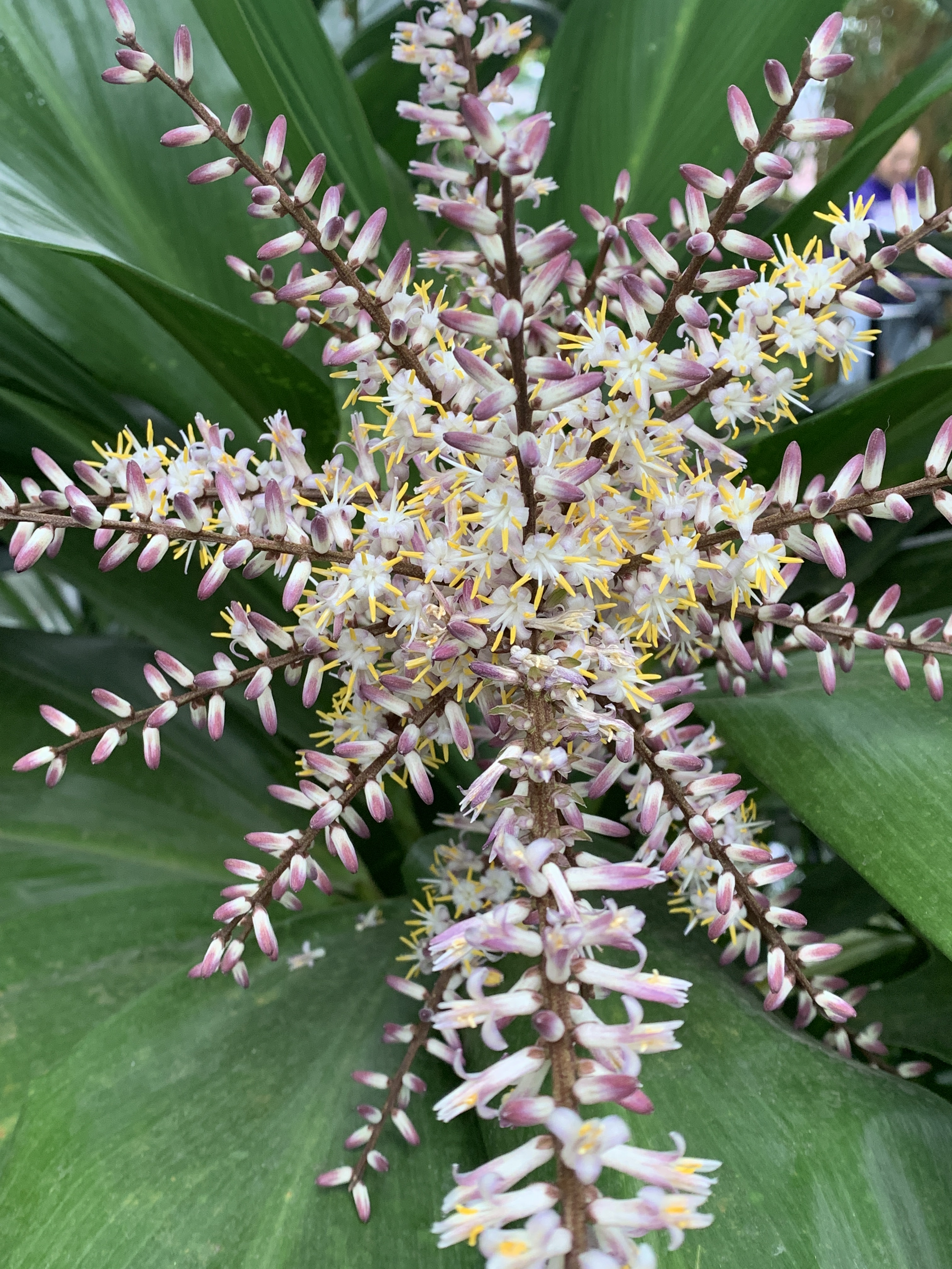 286BDEA3-D5E9-418F-9D7E-4B3D51281D66