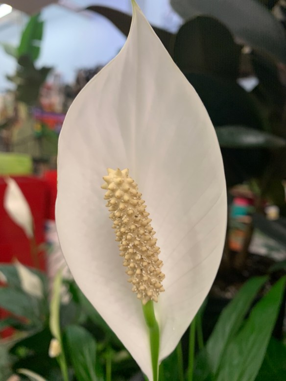 2BE1F637-2A97-4F90-A72F-91417627D278