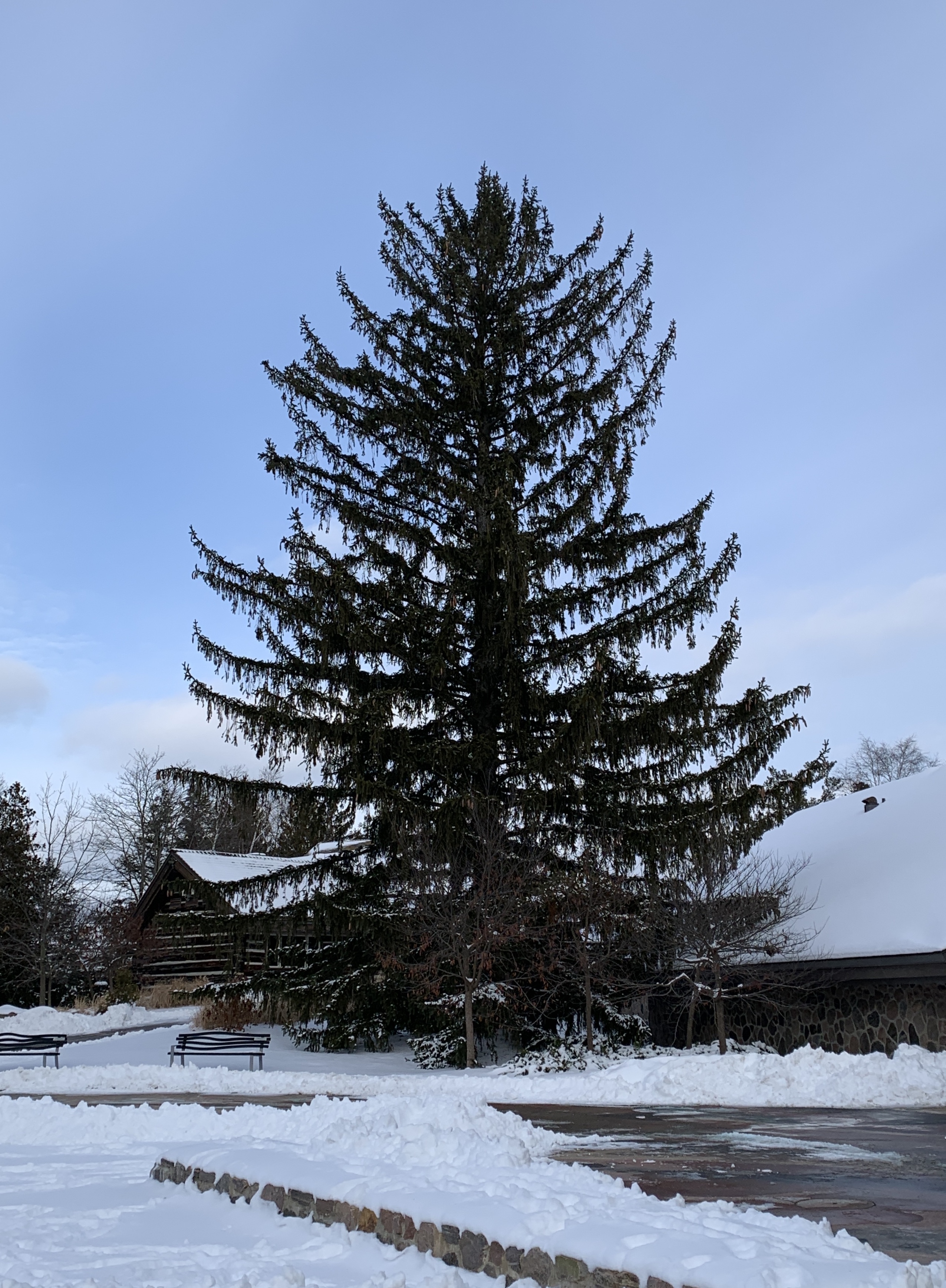 32C12C0E-8E57-4FD1-9B57-95495D519CB9_1_201_a