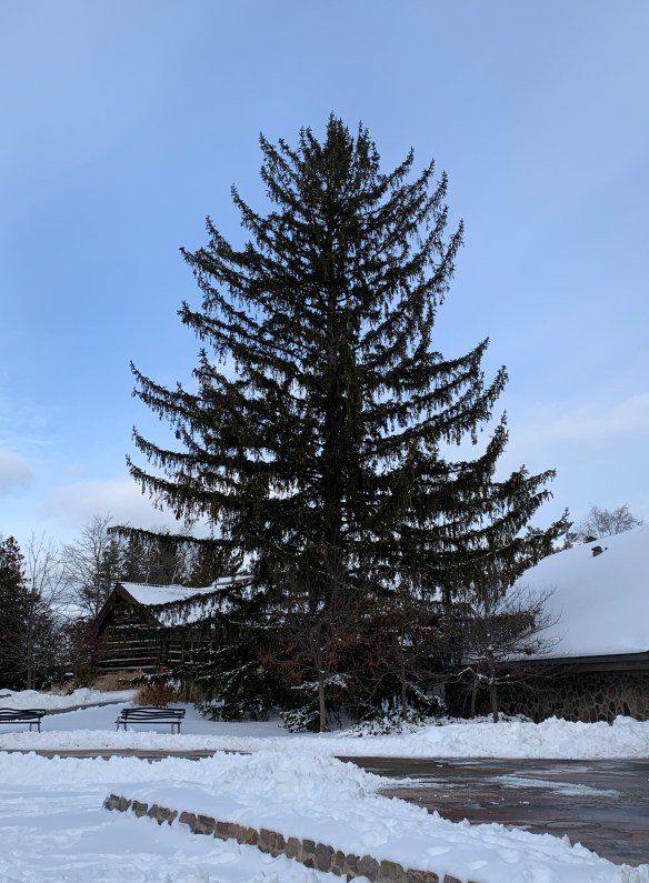 32C12C0E-8E57-4FD1-9B57-95495D519CB9_1_201_a