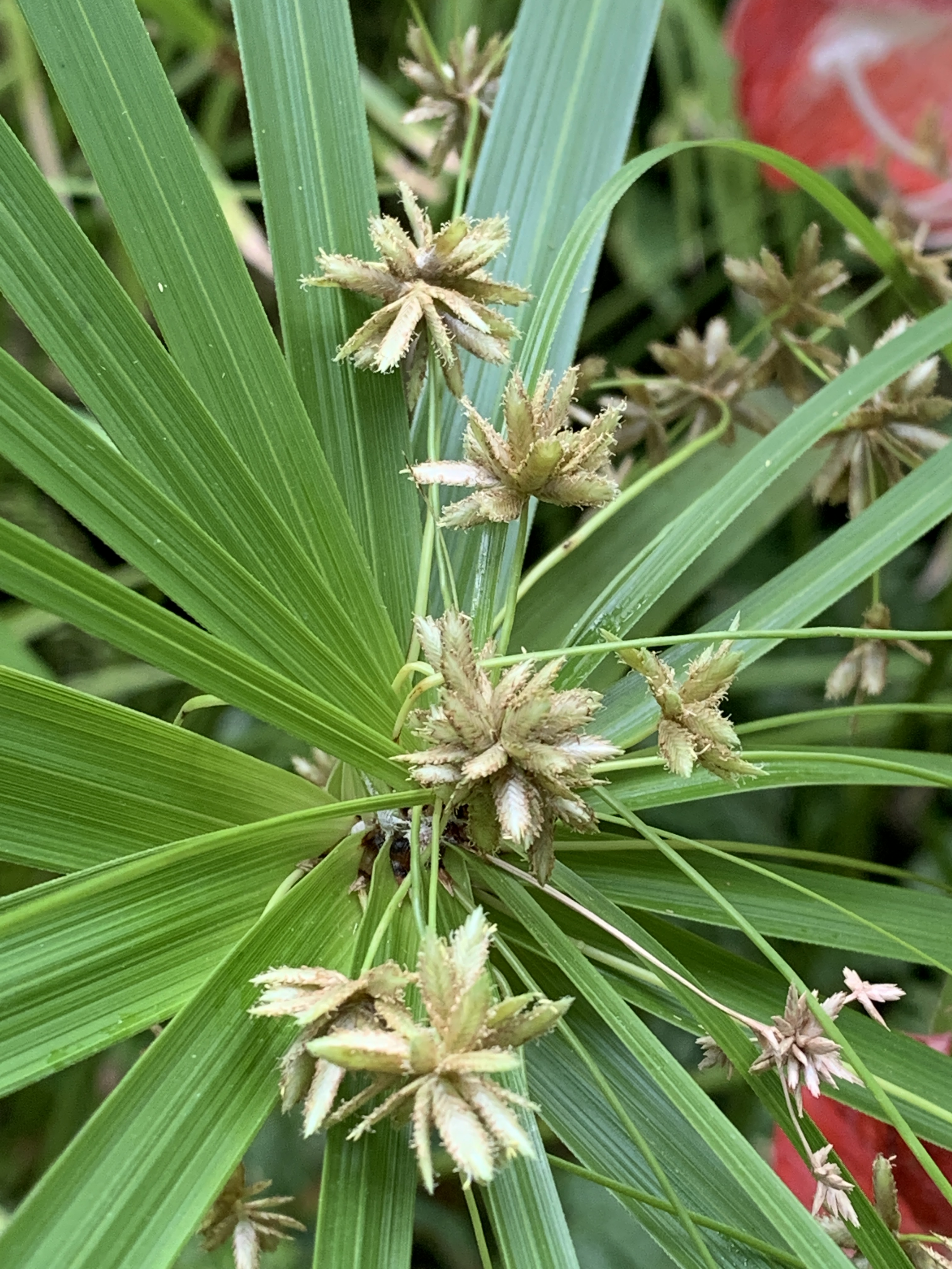 338B4B24-B5CF-4909-909D-89C4E56CD00C