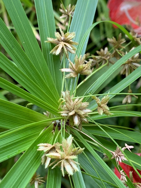 338B4B24-B5CF-4909-909D-89C4E56CD00C