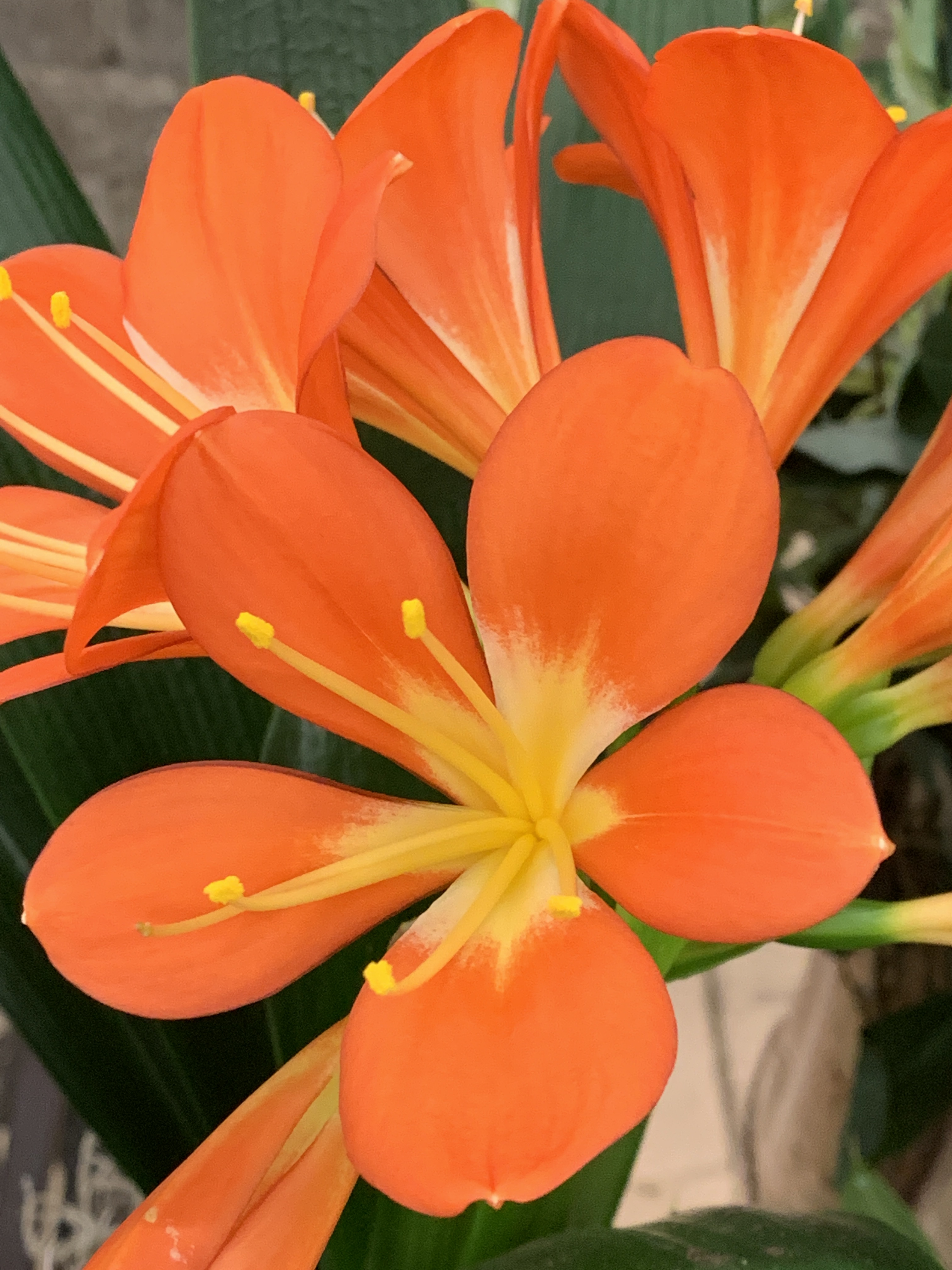 33983095-B50A-4D87-ADEA-356D69C82394