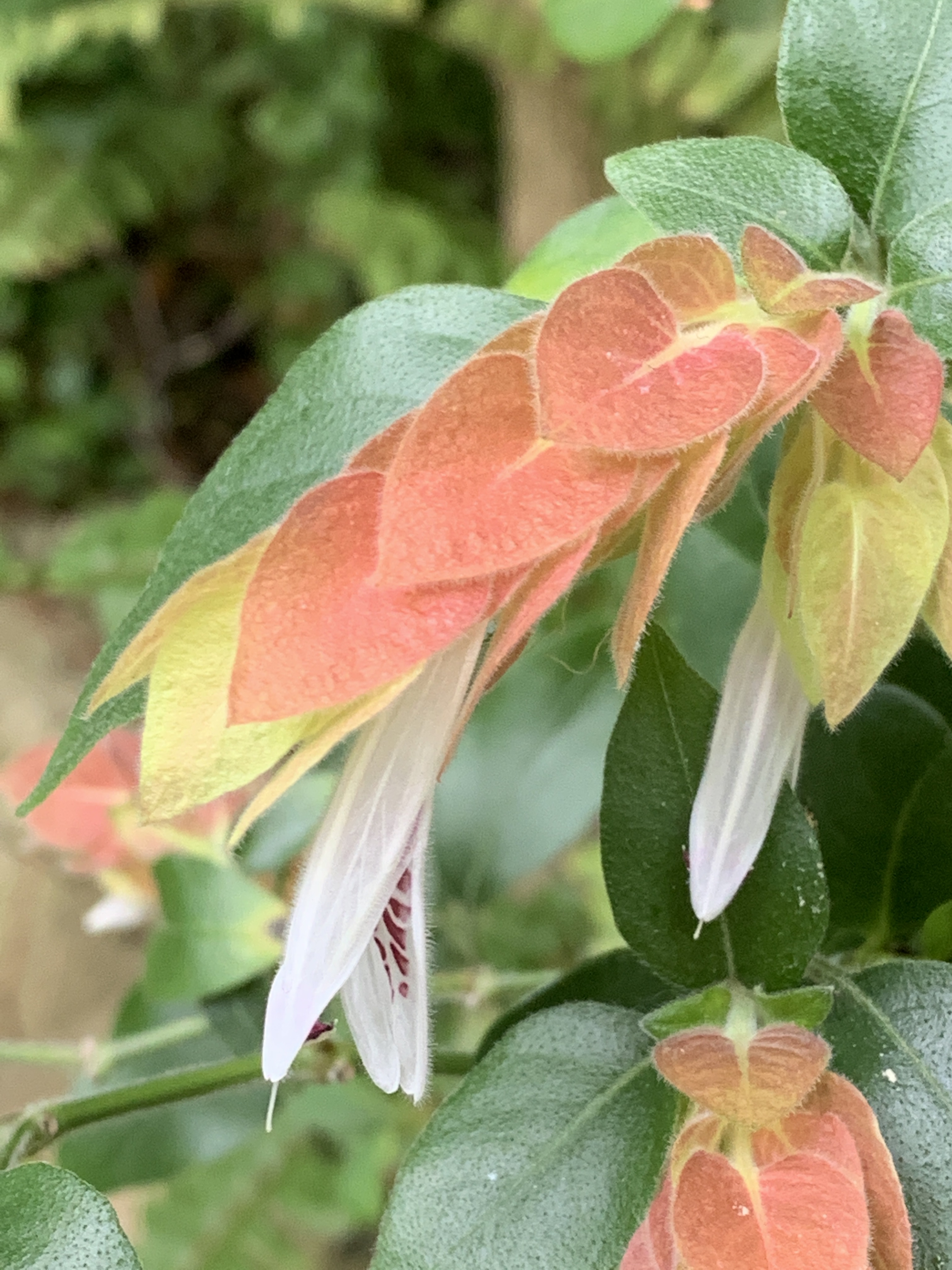 34204A7D-2688-488D-BB20-C4A3D7E54B39