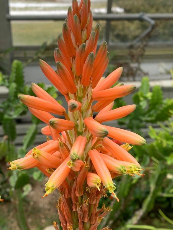 36C7C737-24FC-4674-83FC-31C01AB46DA2