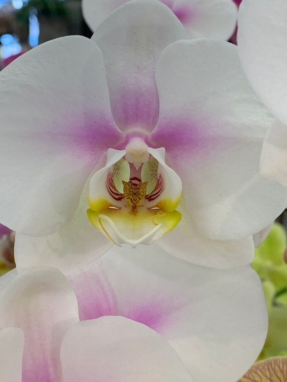 3B9D427A-1A15-4078-90E4-00E8DA08032A