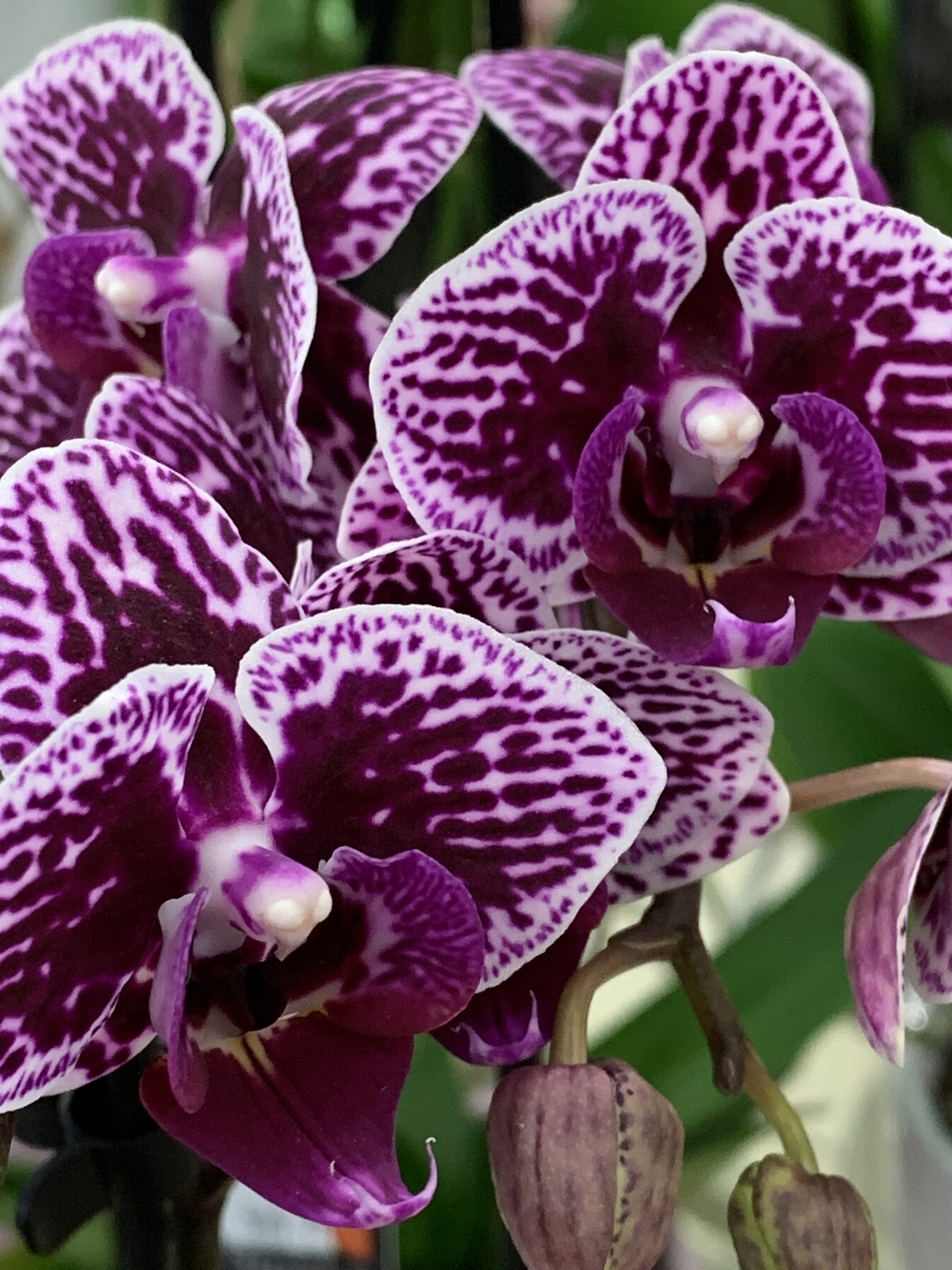 3BACA699-EBE0-478D-B9B4-A4FCE143EF32