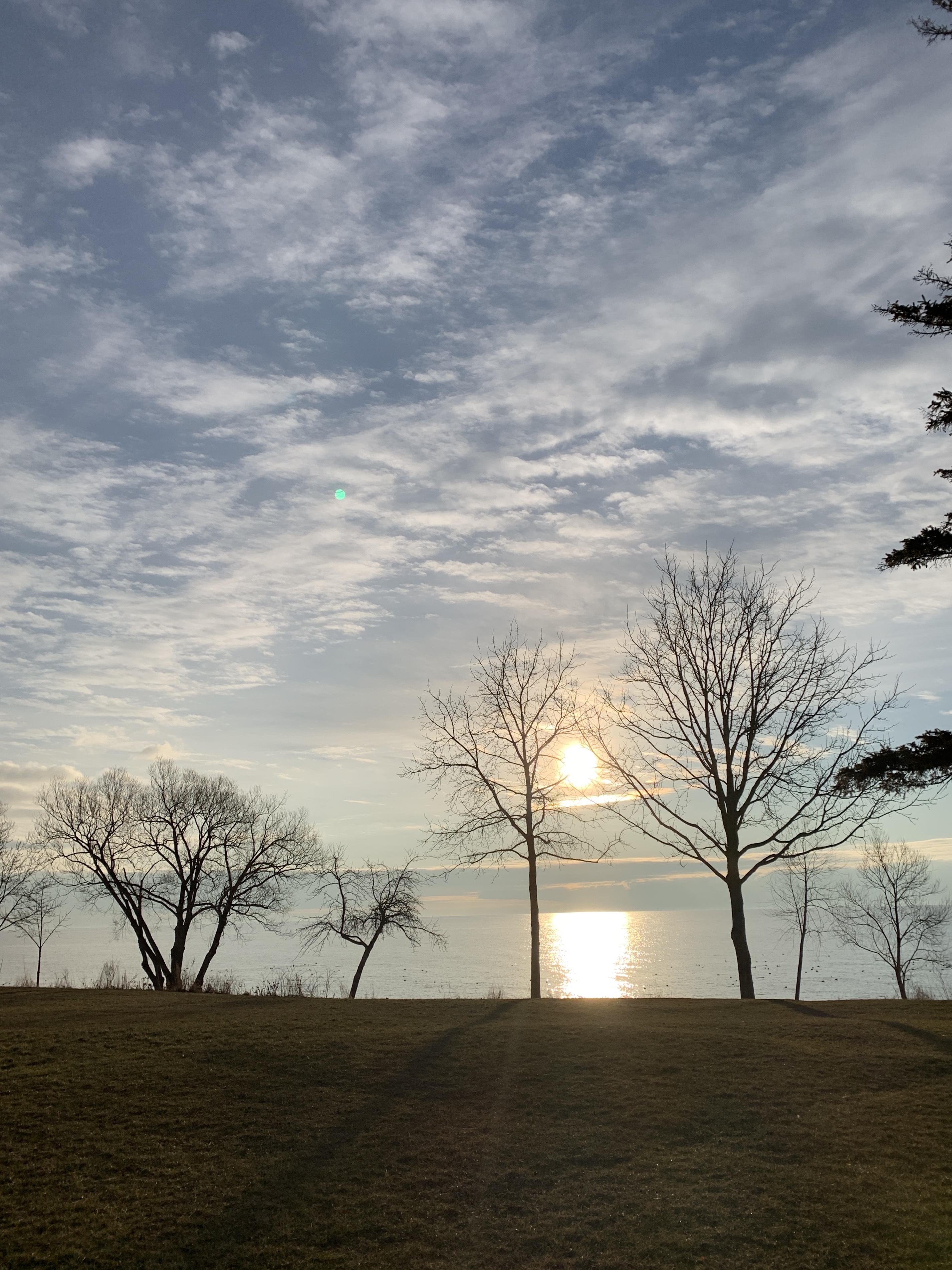 490038CC-B432-4574-AD2B-628E86A27AB3_1_201_a