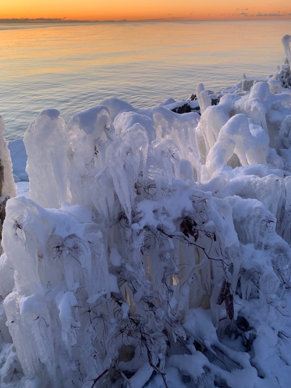 496C5289-472A-4D03-A68B-6844B6AB3975_1_201_a