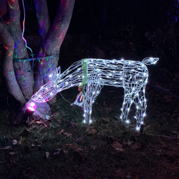 4F6A1EE7-3D74-4FF3-A9D4-BBBF141341B9