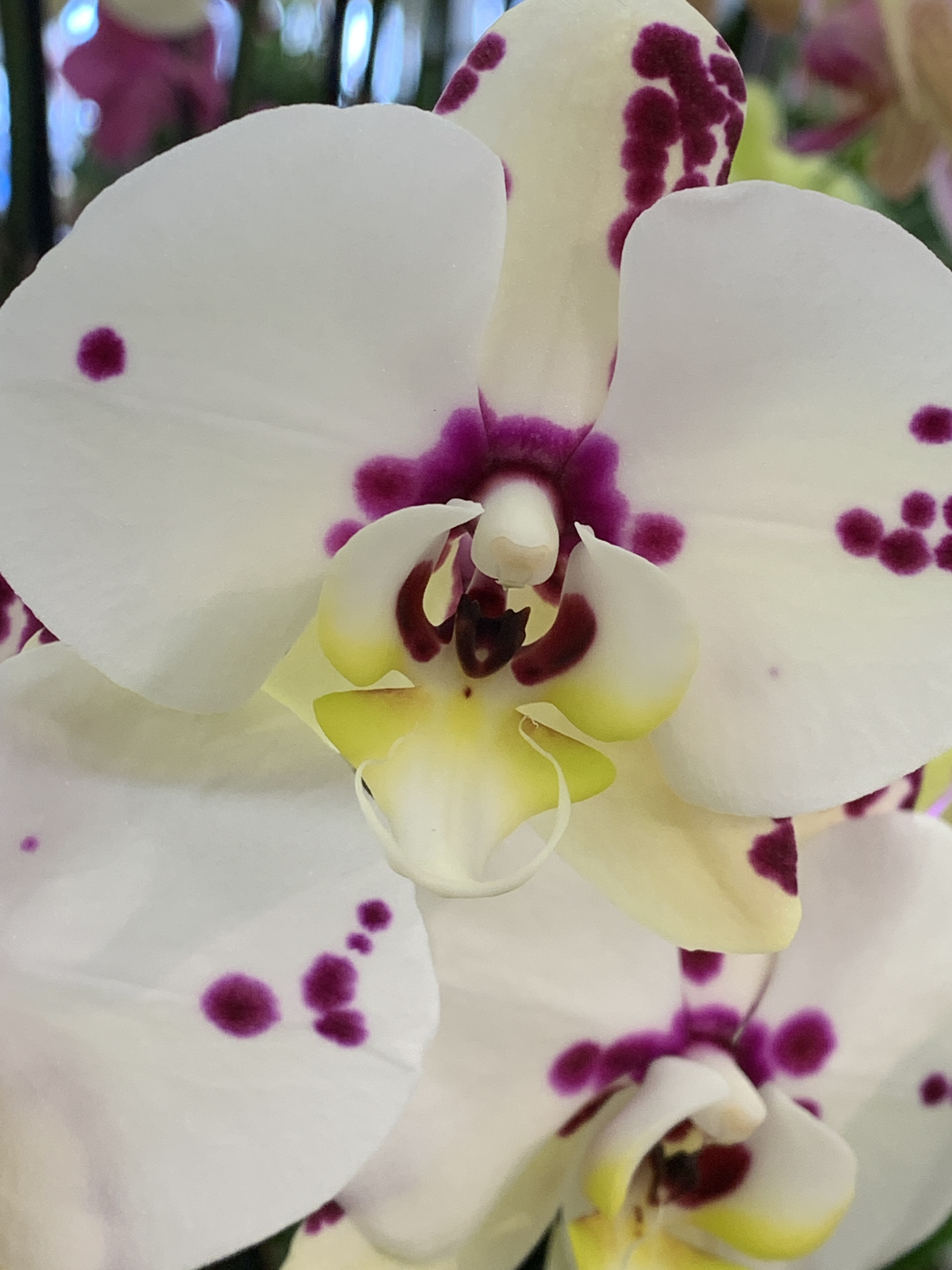 5AE8EE9D-A356-4917-A033-7D272AA7FCC0