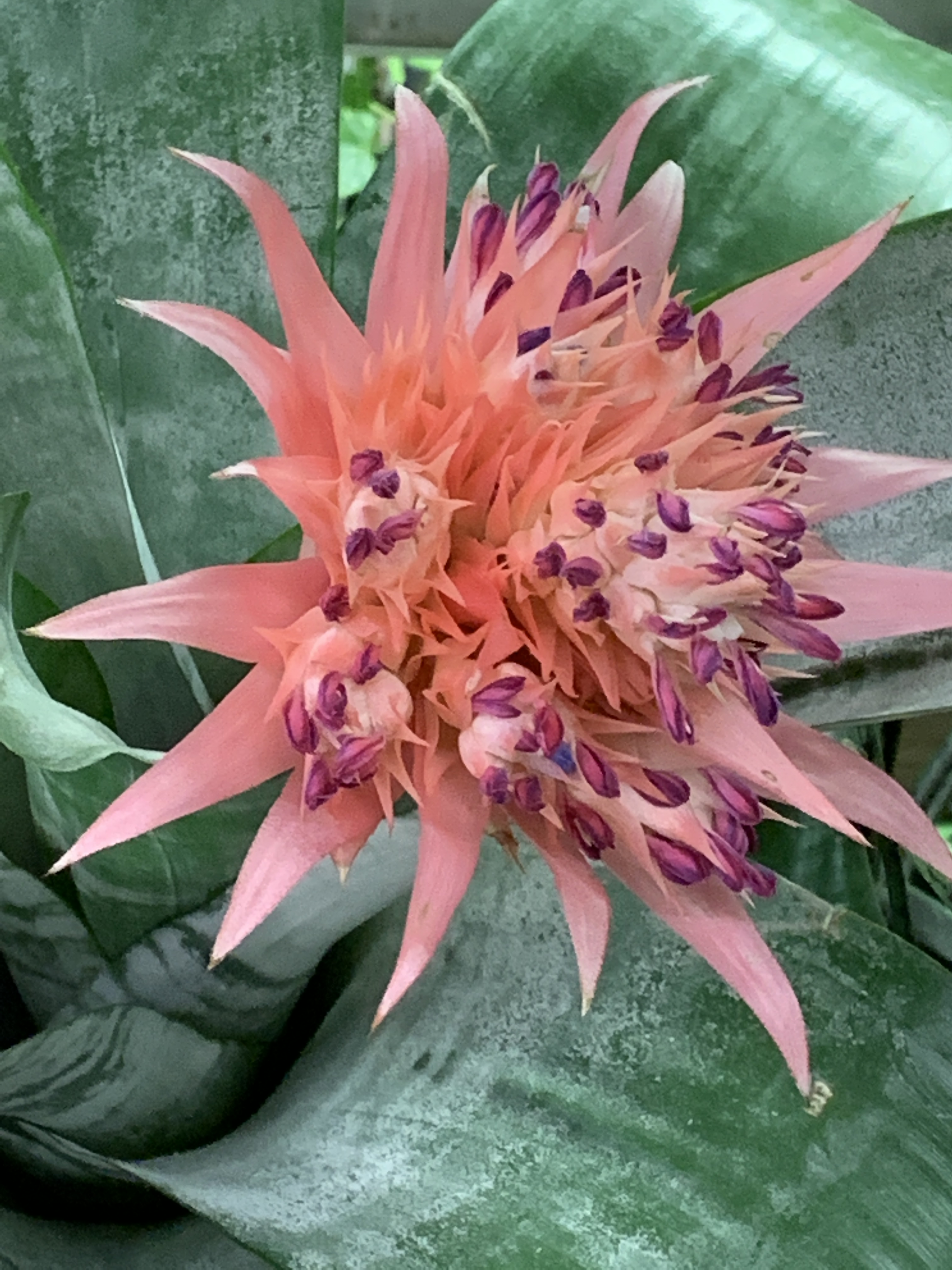 5C6AE127-5F9B-4B33-952D-90732518C75F