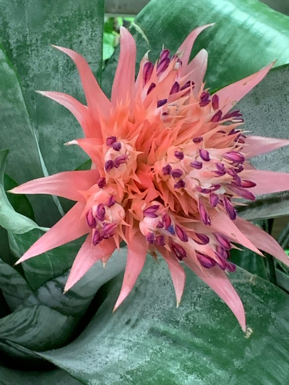 5C6AE127-5F9B-4B33-952D-90732518C75F