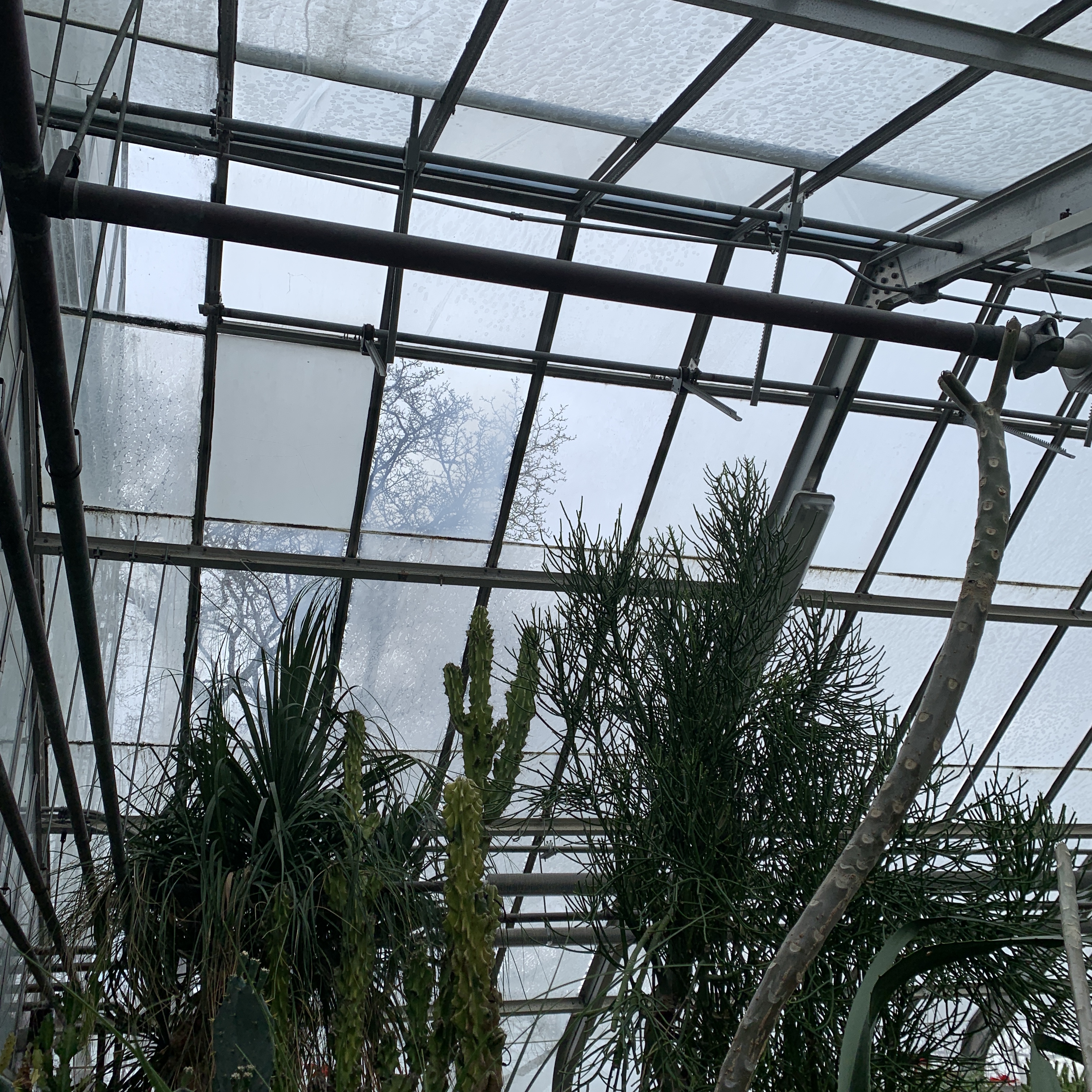 62E1ADB6-149D-42CA-A921-58EDC0C38A24