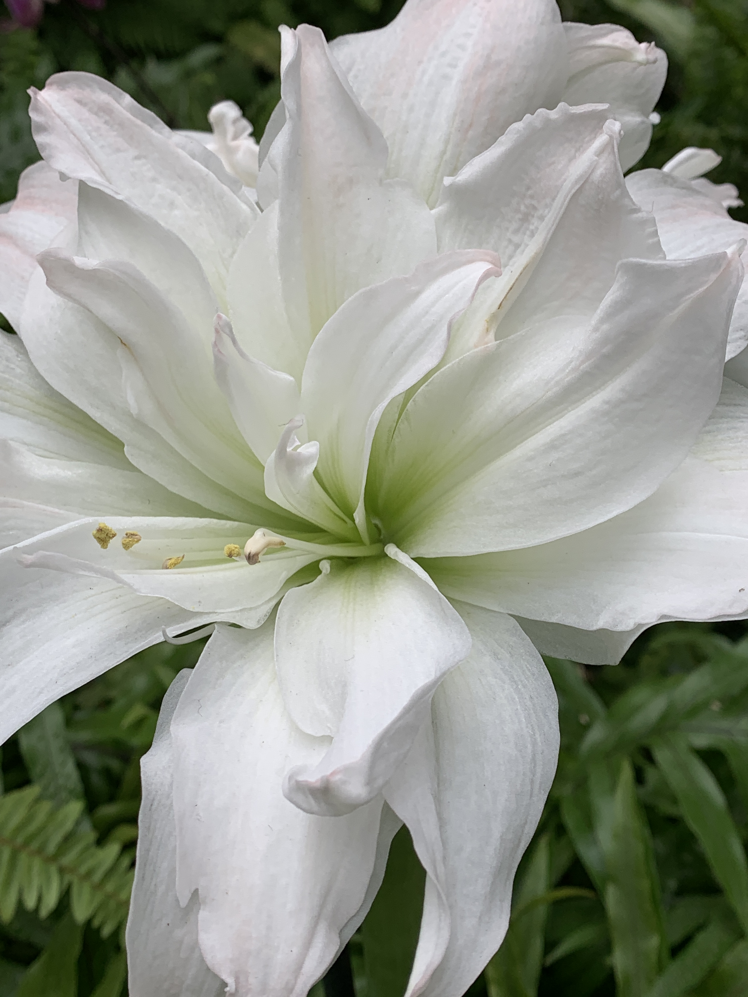 635B4C4F-41AA-4477-8C36-8738726F0C83