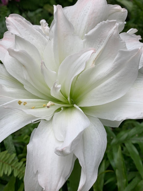 635B4C4F-41AA-4477-8C36-8738726F0C83