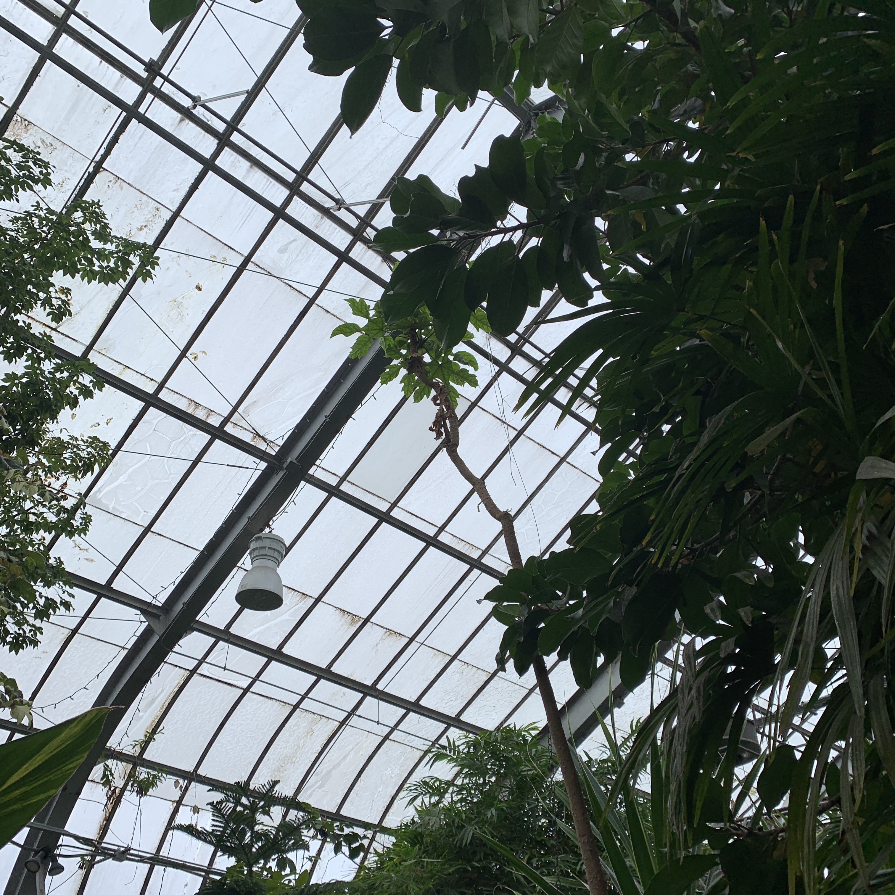 641F3A6E-EAC6-4687-9604-DC5779E1ABEF