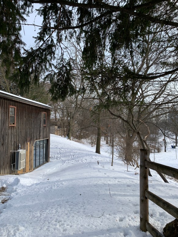 6E8FA007-4431-4B5F-8B77-8AFC37CC5FFB