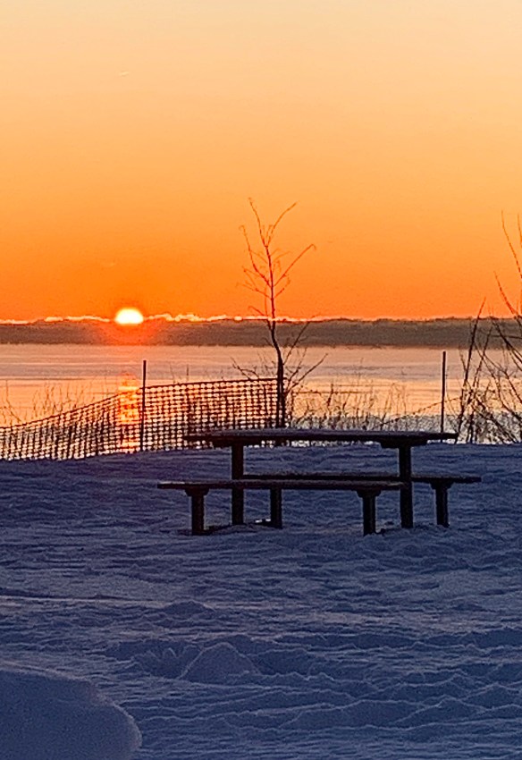 7B363C3D-5798-4FDA-B640-6EEA1DDF7C36_1_201_a