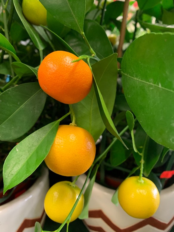 7BC23E94-6915-4879-96DA-0AE3E4C7B1D8