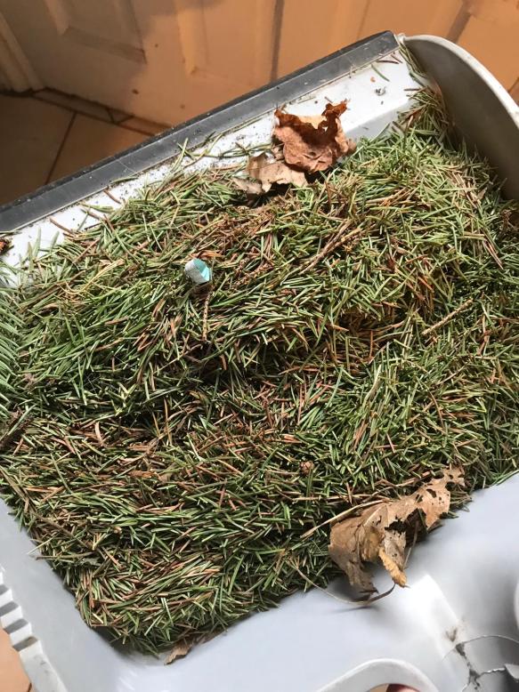 7BDA25FC-1C86-4017-839B-26E8E92ACD51