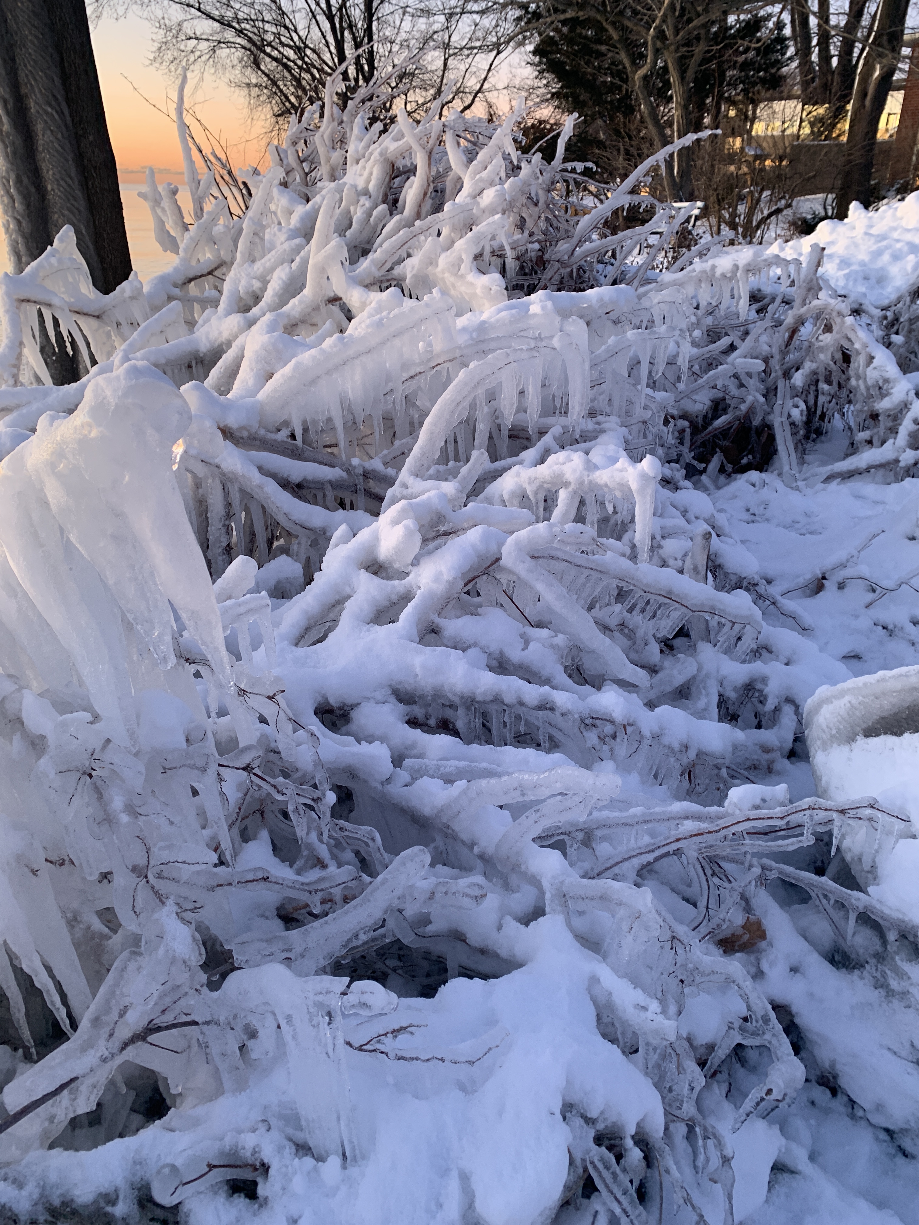 7E2AFCC5-971C-4AD8-B7D9-092809E17755