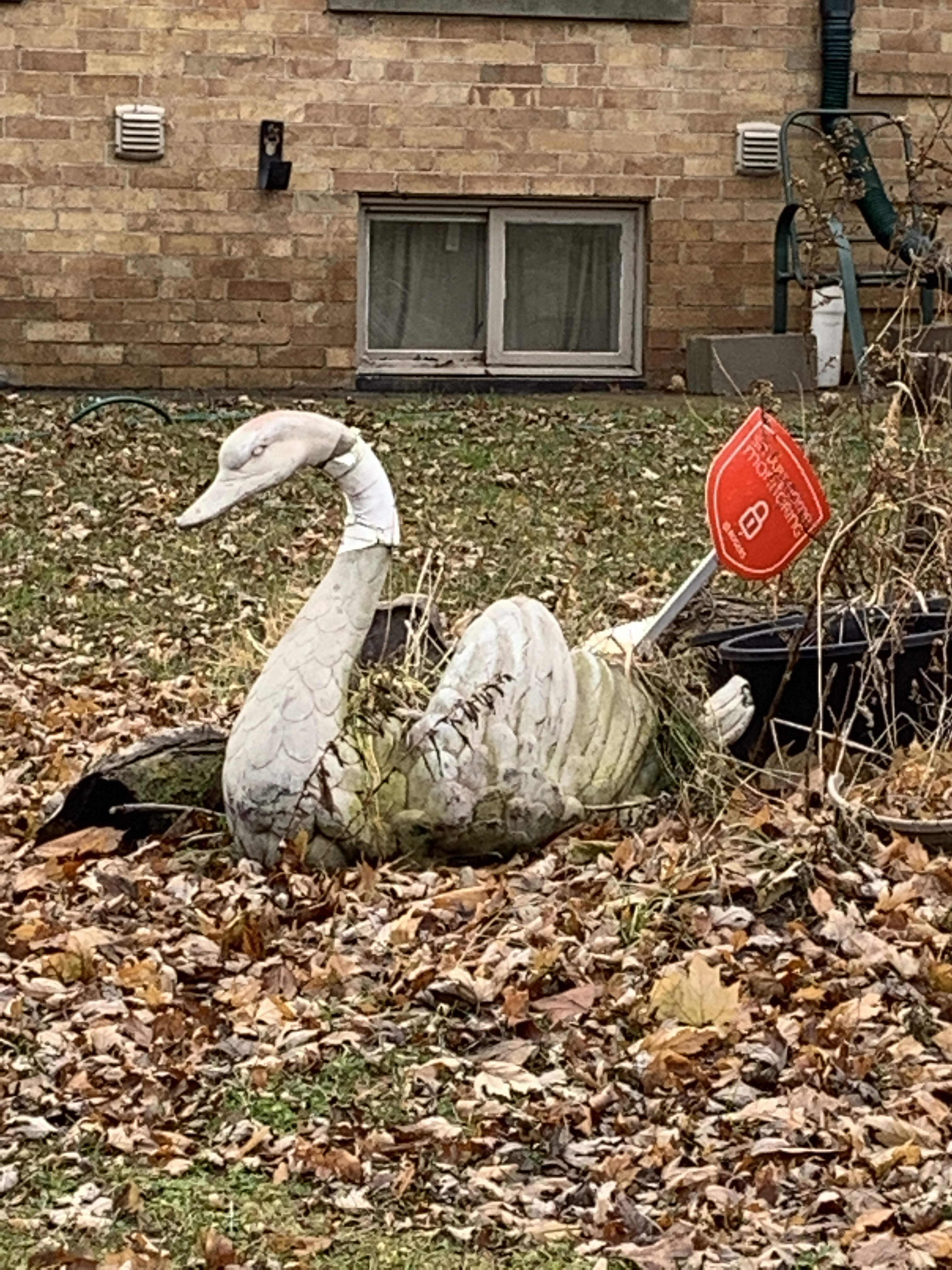 80AC9952-DAEA-4753-98F8-BA2D8454C643