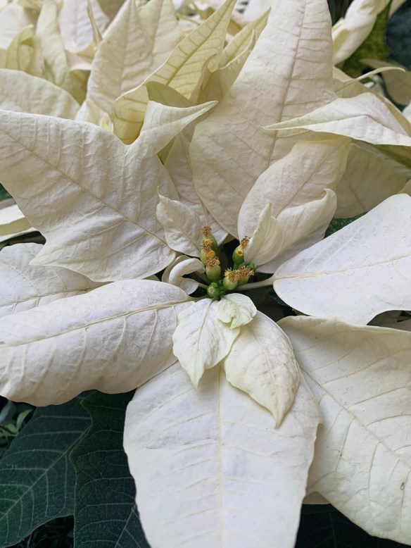 81AB9BAE-66C1-4CB6-B83F-0D54204AE403